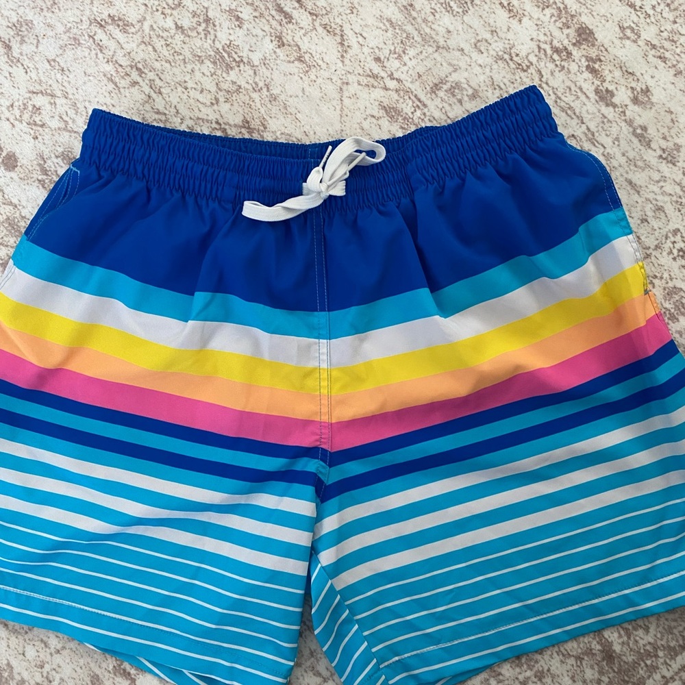 Men’s XL Chubbies Striped Bathingsuit